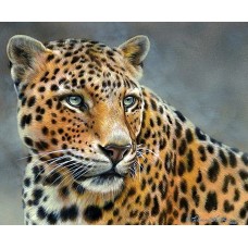 Картина по номерам 40*50см Грациозный леопард VA-0573