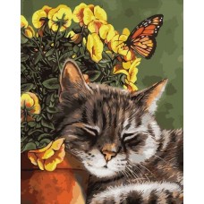 Картина по номерам 40*50см Дремлющий кот VA-1743