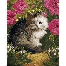 Картина по номерам 40*50см Маленький котенок VA-2074