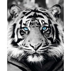 Картина по номерам 40*50см Взгляд тигра VA-2456