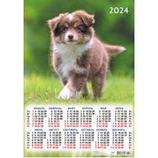 Календарь настенный (2024) А2 Собаки ПО-24-341-342